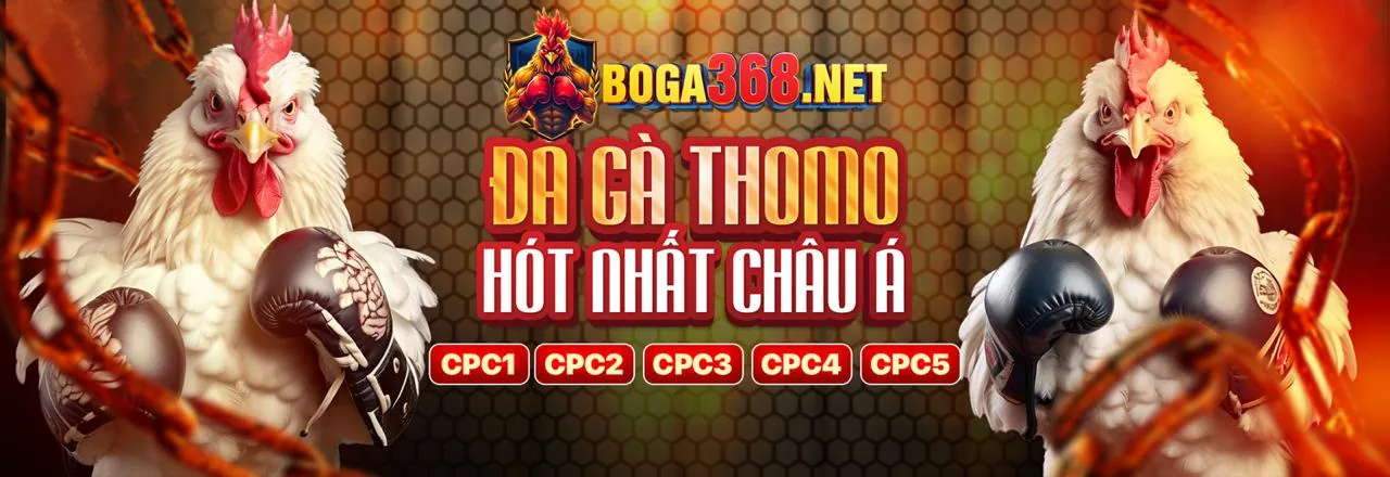 Hoàn trả casino và thể thao